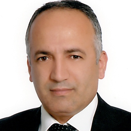 Prof. Dr. Abdlmecit GLDA (Trkiye)