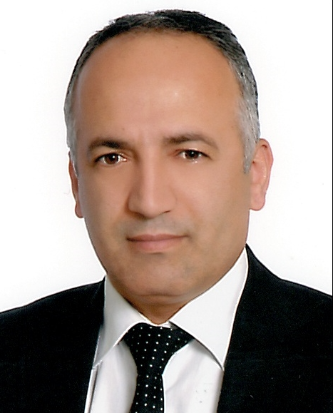 Prof. Dr. Abdülmecit GÜLDAŞ (Türkiye)